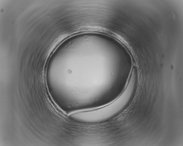 X0000052981283200507291542