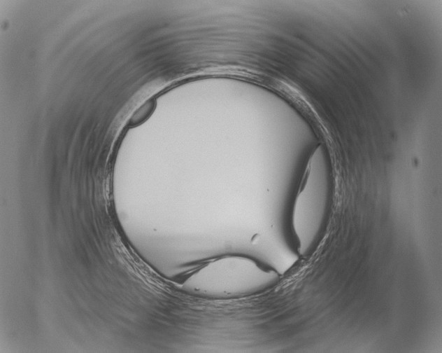 X0000052981284200507291542