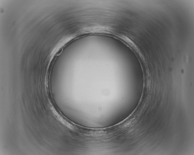 X0000052981285200507291542