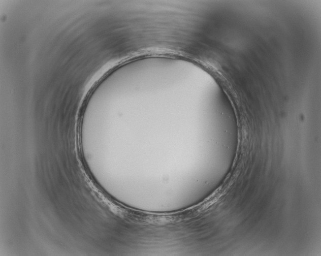 X0000052981286200507291542