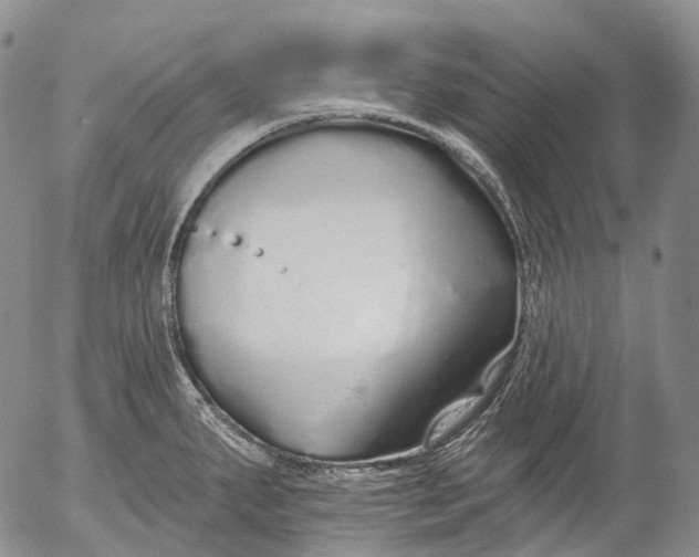 X0000052981287200507291542