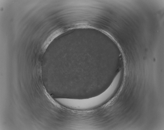 X0000052981289200507291542