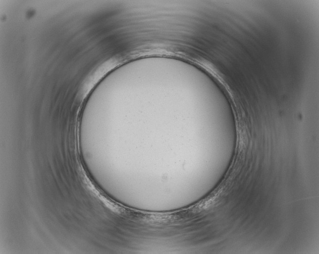 X0000052981290200507291542