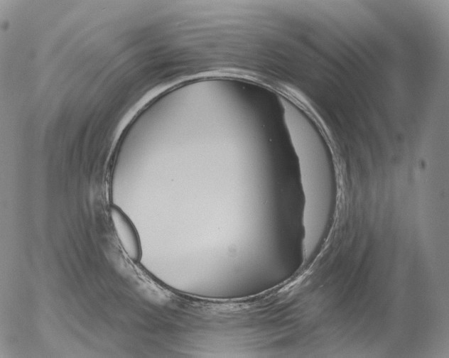 X0000052981292200507291542