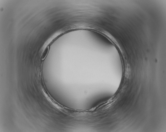 X0000052981293200507291542