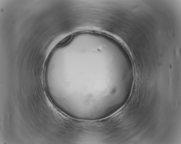 X0000052981295200507291542