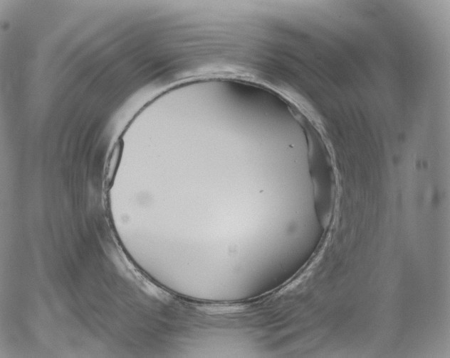 X0000052981296200507291542