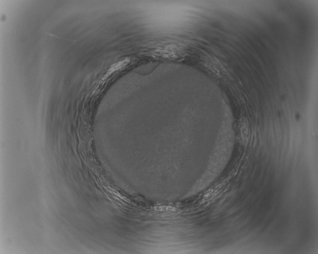 X0000052981297200507291541