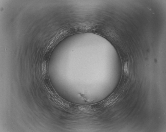 X0000052981299200507291541