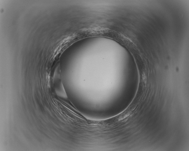 X0000052981300200507291541