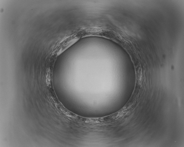 X0000052981301200507291541