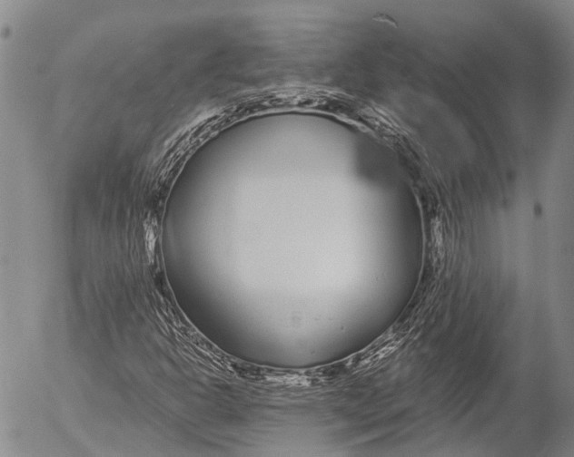 X0000052981302200507291541