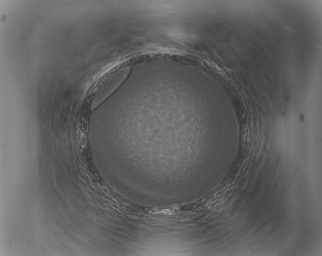 X0000052981303200507291541