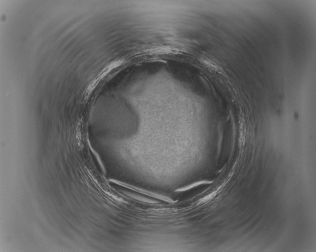 X0000052981305200507291541