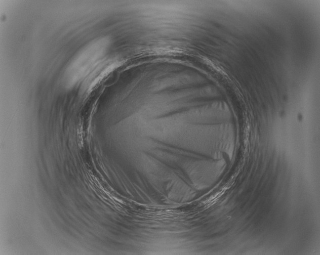 X0000052981306200507291541