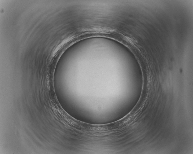 X0000052981307200507291541