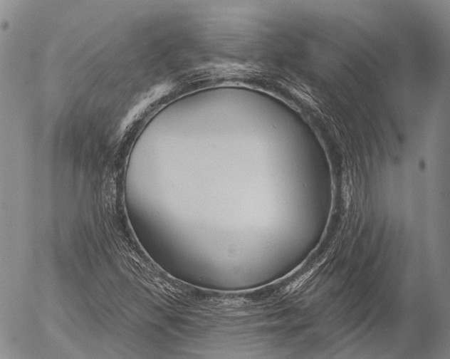 X0000052981309200507291541