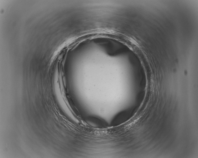 X0000052981310200507291541