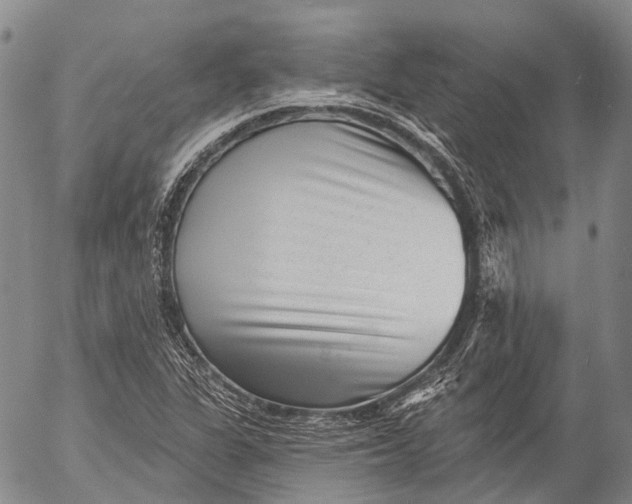 X0000052981311200507291541