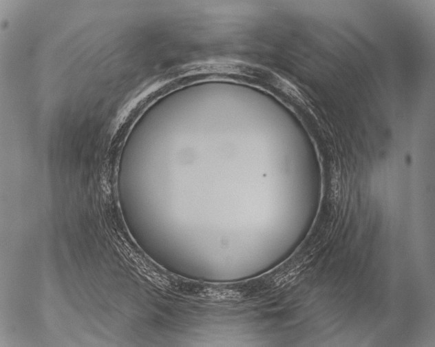 X0000052981312200507291541