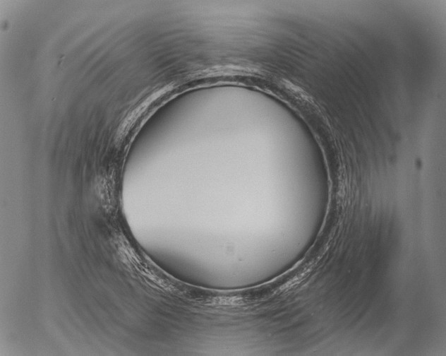 X0000052981313200507291541