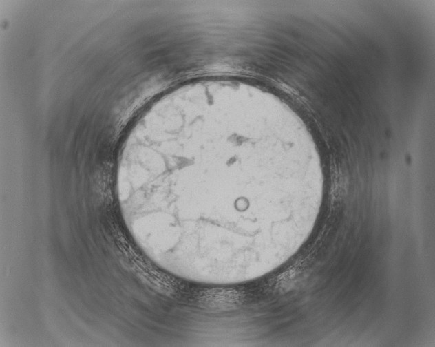 X0000052981314200507291541