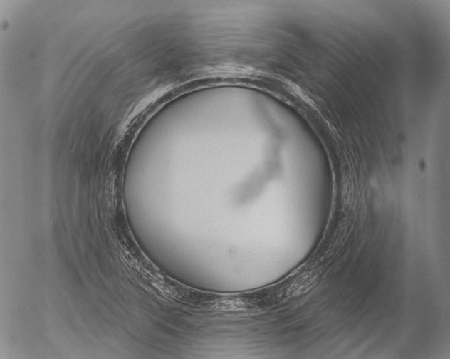 X0000052981315200507291541