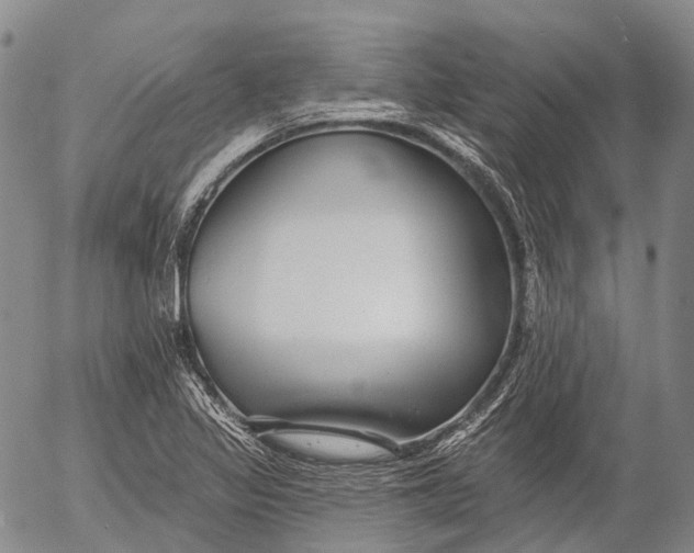 X0000052981317200507291541