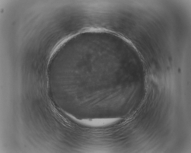 X0000052981319200507291542