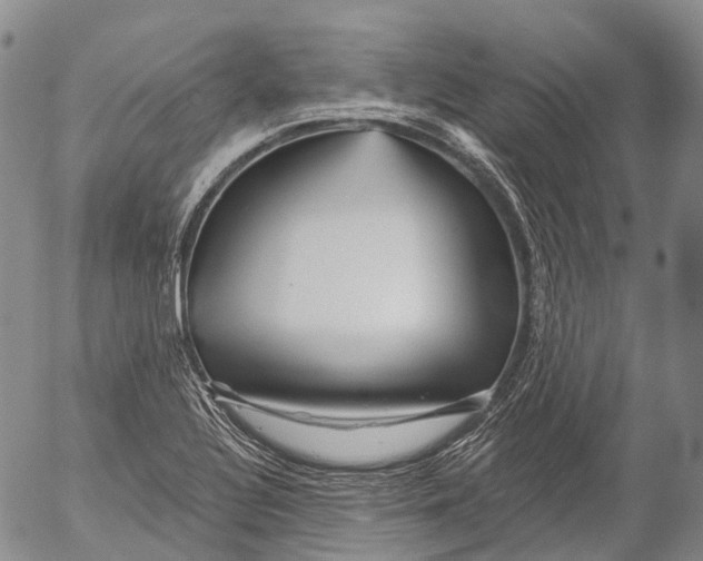 X0000052981320200507291542