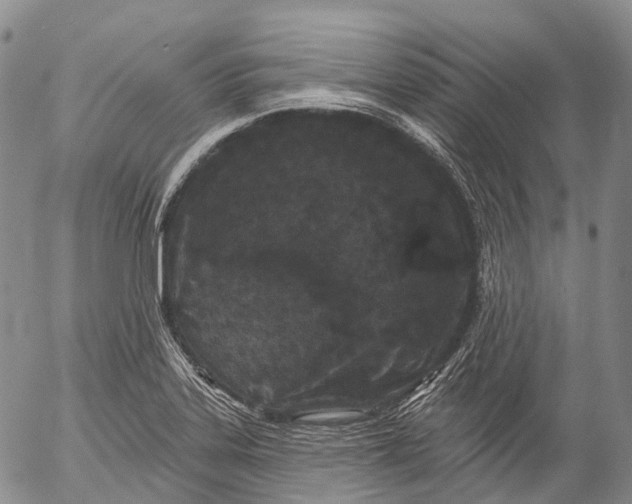 X0000052981323200507291542