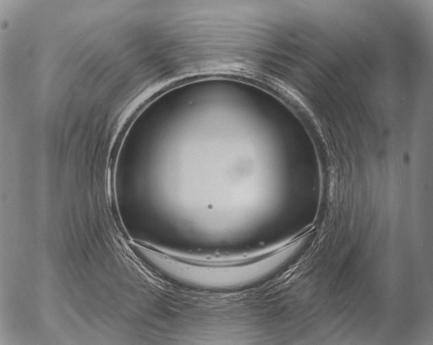 X0000052981324200507291542