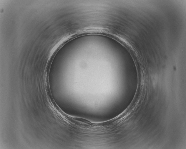 X0000052981325200507291542