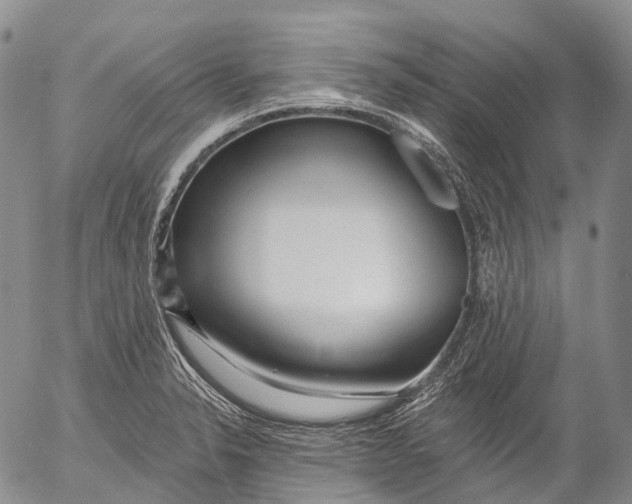 X0000052981326200507291542