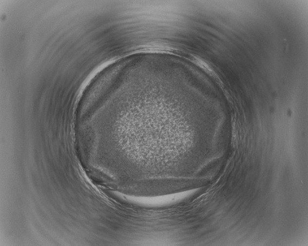 X0000052981331200507291542