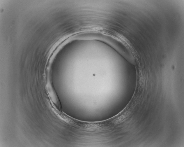 X0000052981332200507291542