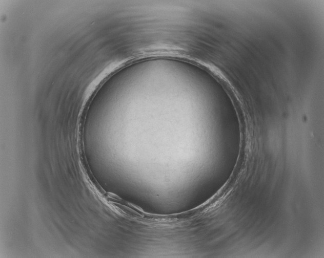 X0000052981333200507291542