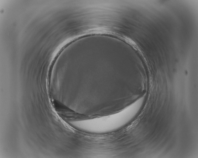 X0000052981334200507291542