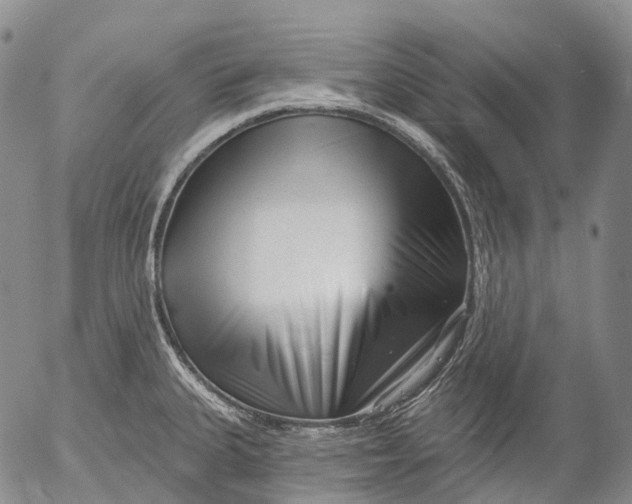 X0000052981335200507291542