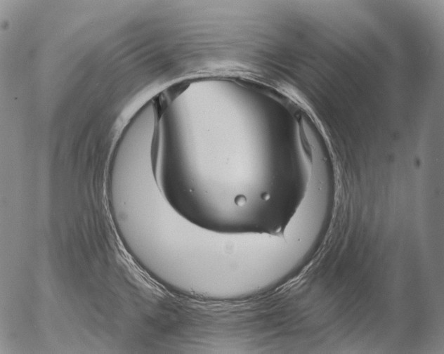 X0000052981336200507291542