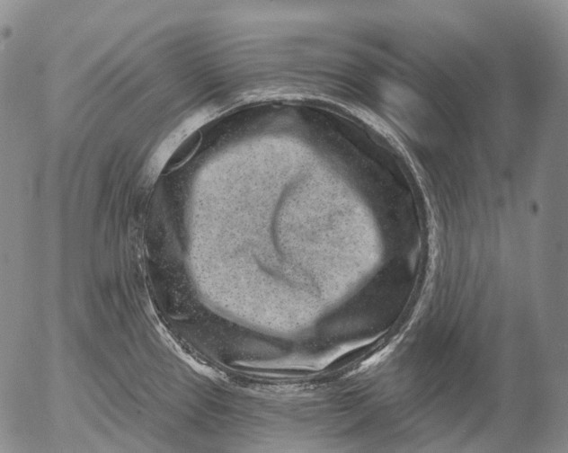 X0000052981337200507291542