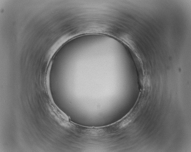 X0000052981340200507291542