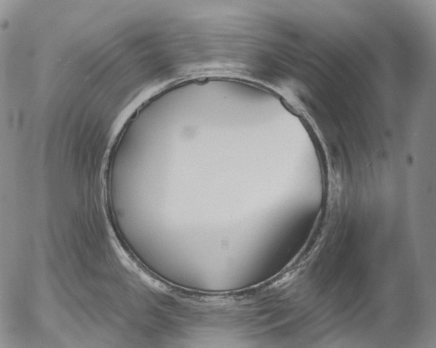 X0000052981341200507291542