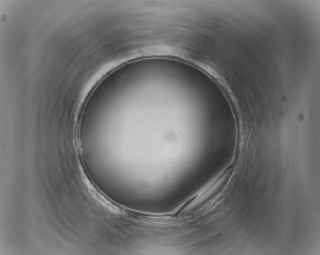 X0000052981342200507291542