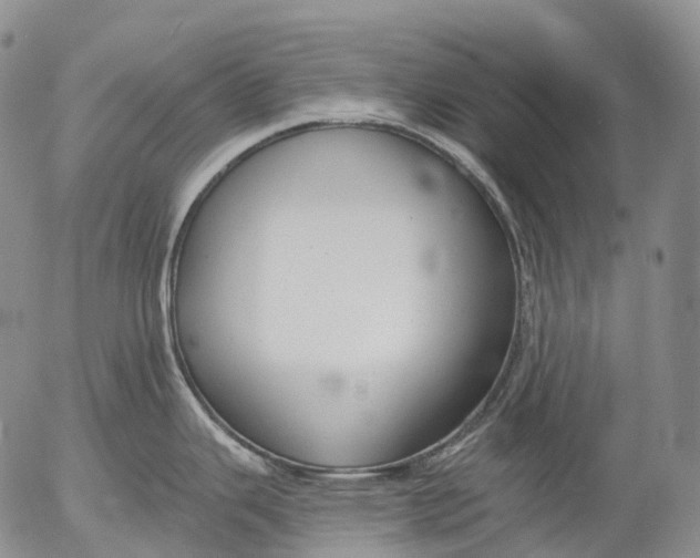 X0000052981343200507291542