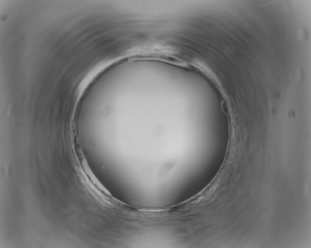 X0000052981344200507291542