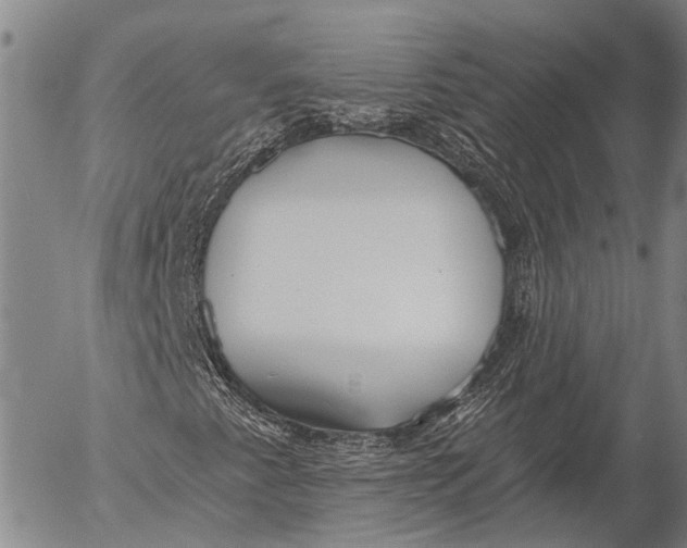 X0000052981345200507291541