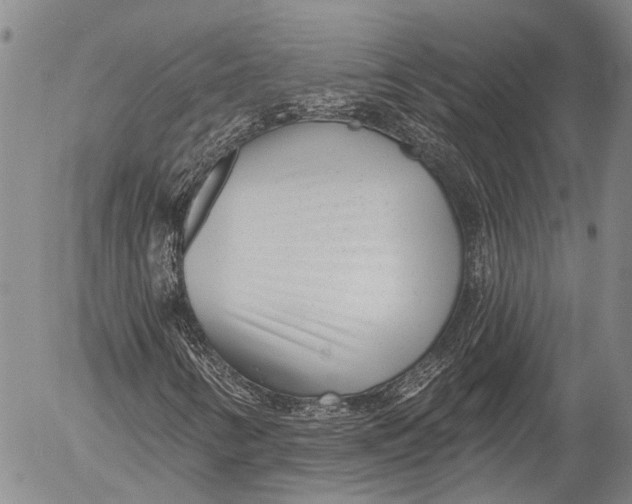 X0000052981346200507291541