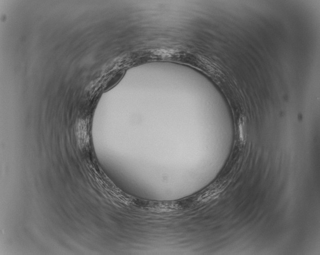 X0000052981347200507291541