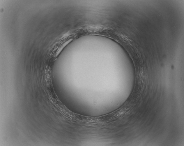 X0000052981349200507291541